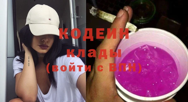 тгк Инта