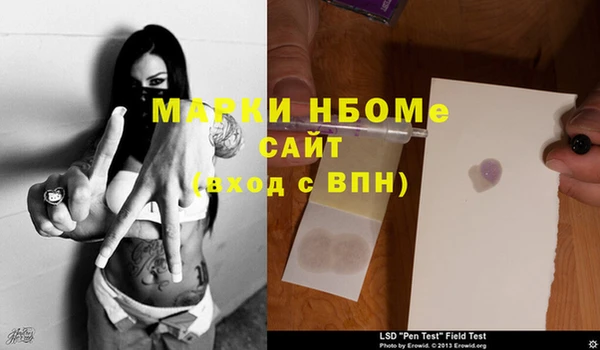 тгк Инта