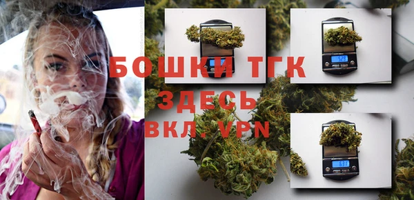тгк Инта