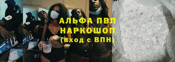 тгк Инта