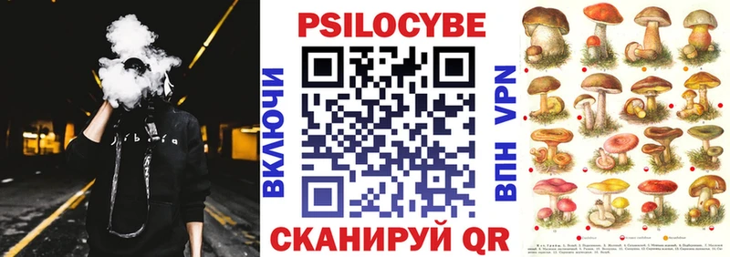 Галлюциногенные грибы Psilocybe  omg   Калач-на-Дону 